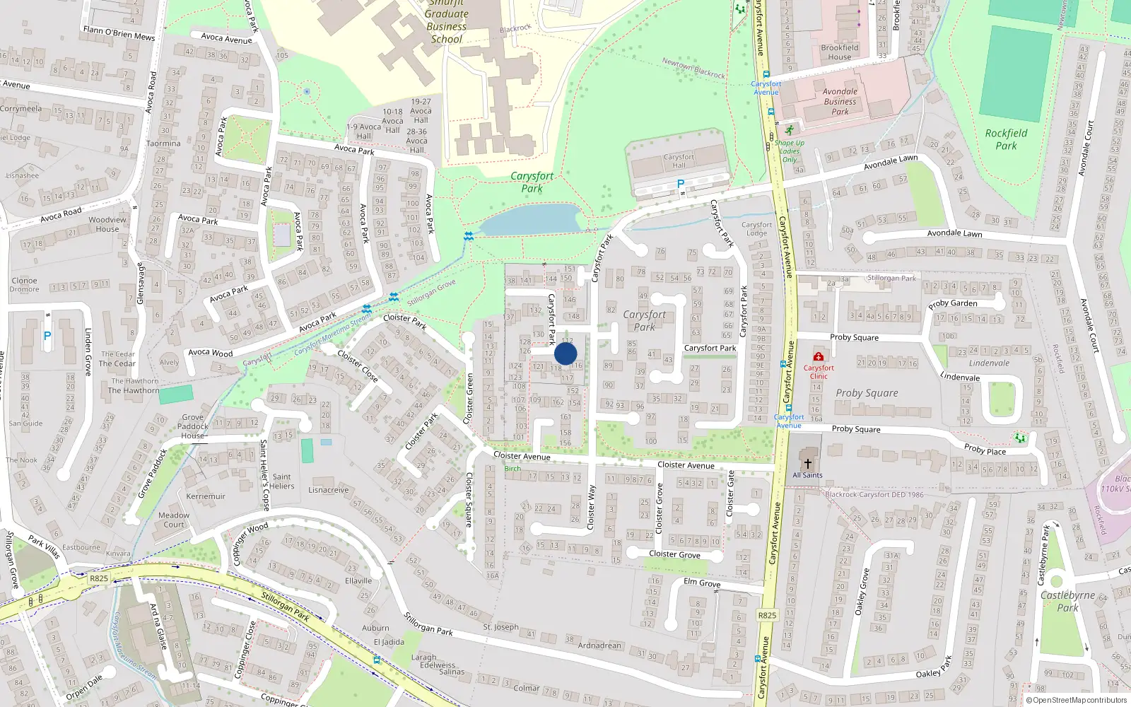 Overhead map showing the location of 114 Carysfort Park, Blackrock, Dublin