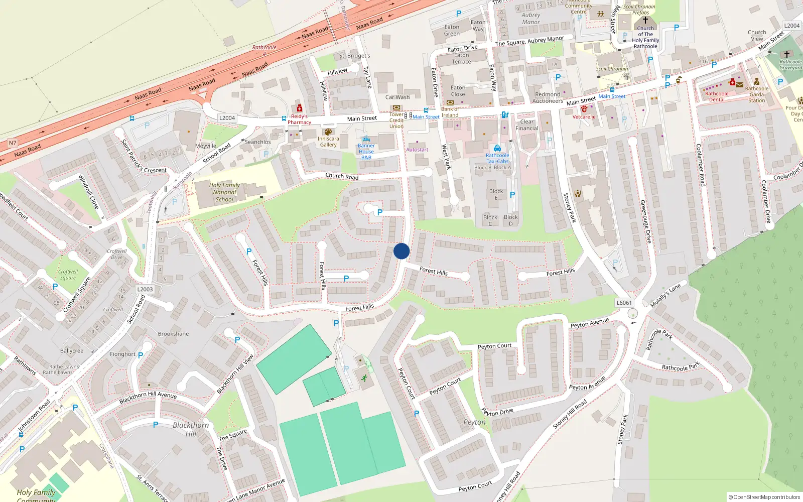 Overhead map showing the location of 114 Forest Hills, Rathcoole