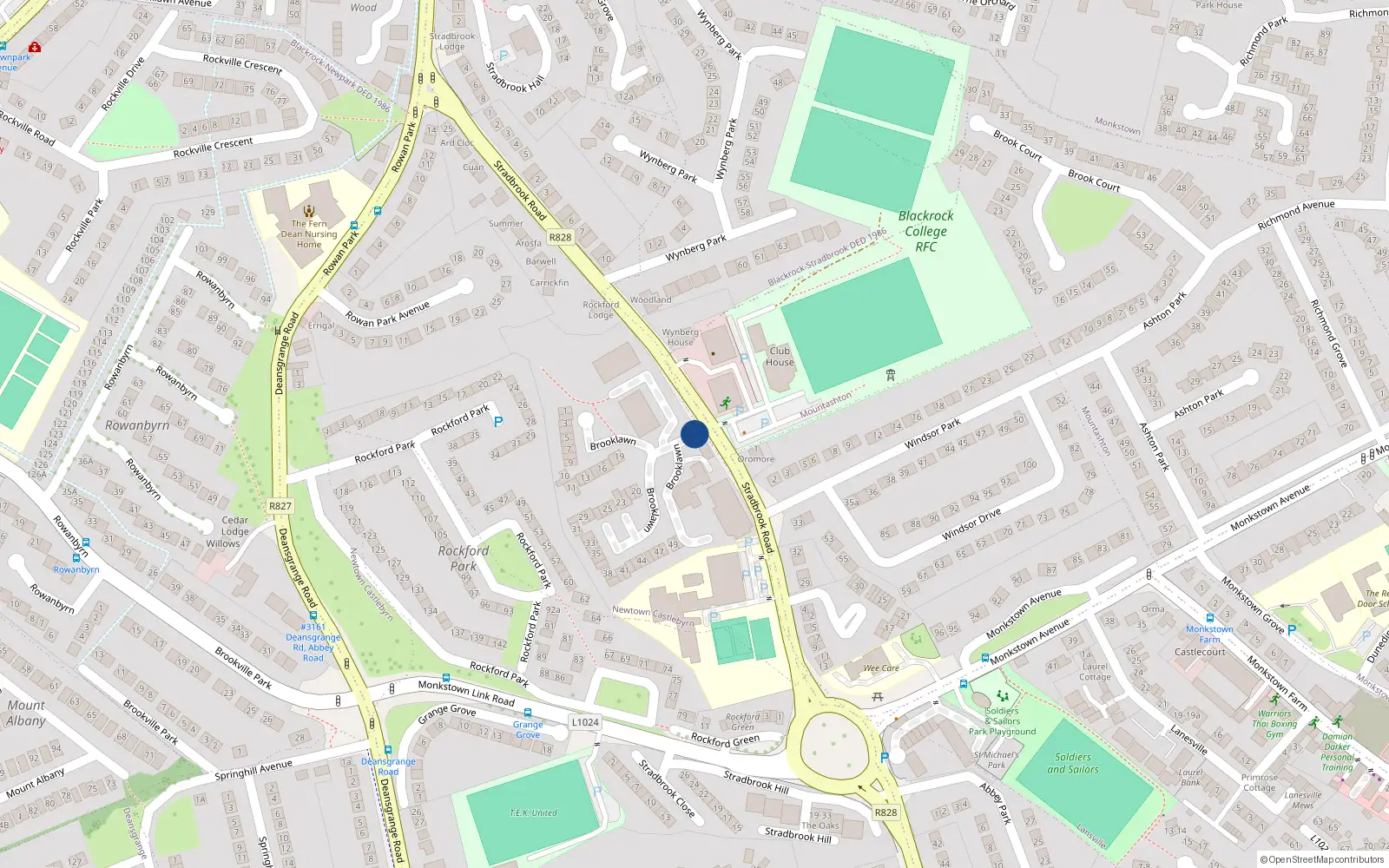 Overhead map showing the location of 114 Rockford Manor, Monkstown