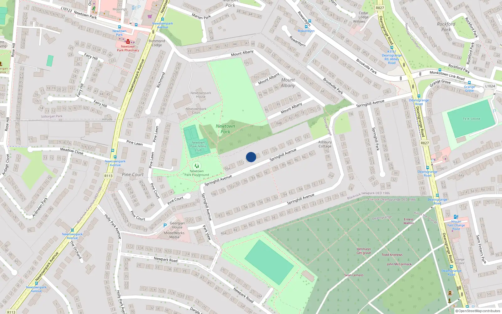 Overhead map showing the location of 114 Springhill Avenue, Blackrock