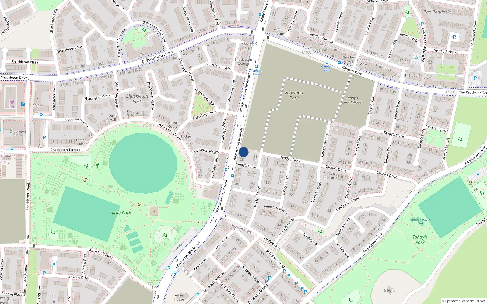 Overhead map showing the location of 115 Adamstown Boulevard, Lucan