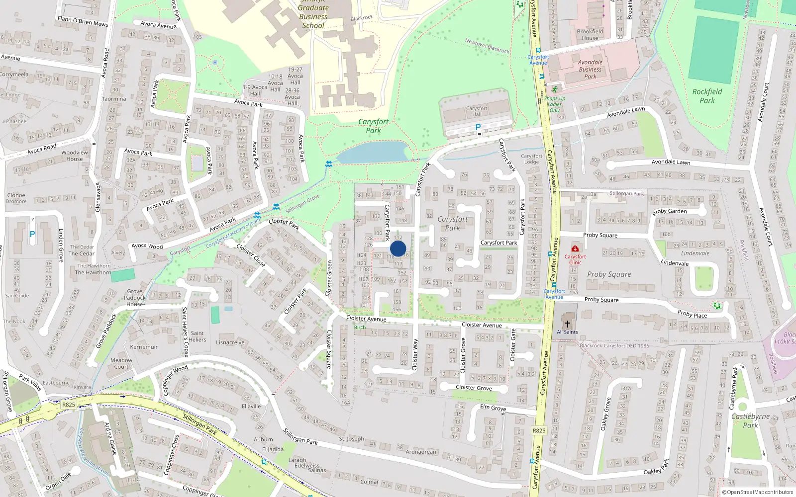 Overhead map showing the location of 115 Carysfort Park, Blackrock