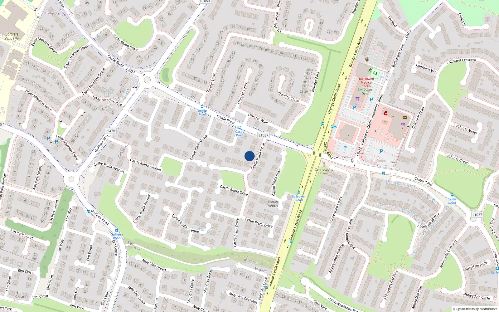 Overhead map showing the location of 115 Castle Riada Drive, Lucan