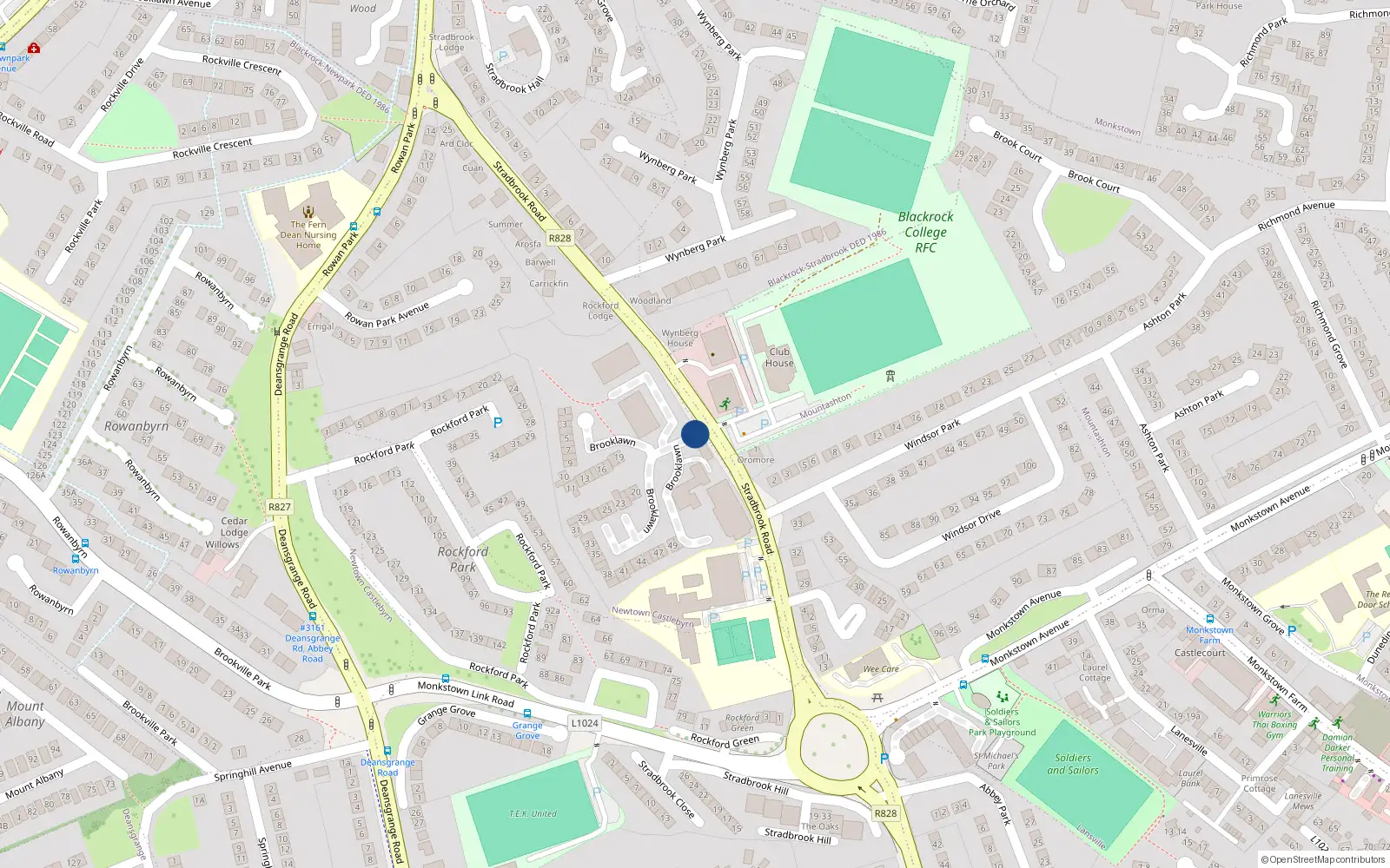 Overhead map showing the location of 116 Rockford Manor, Monkstown