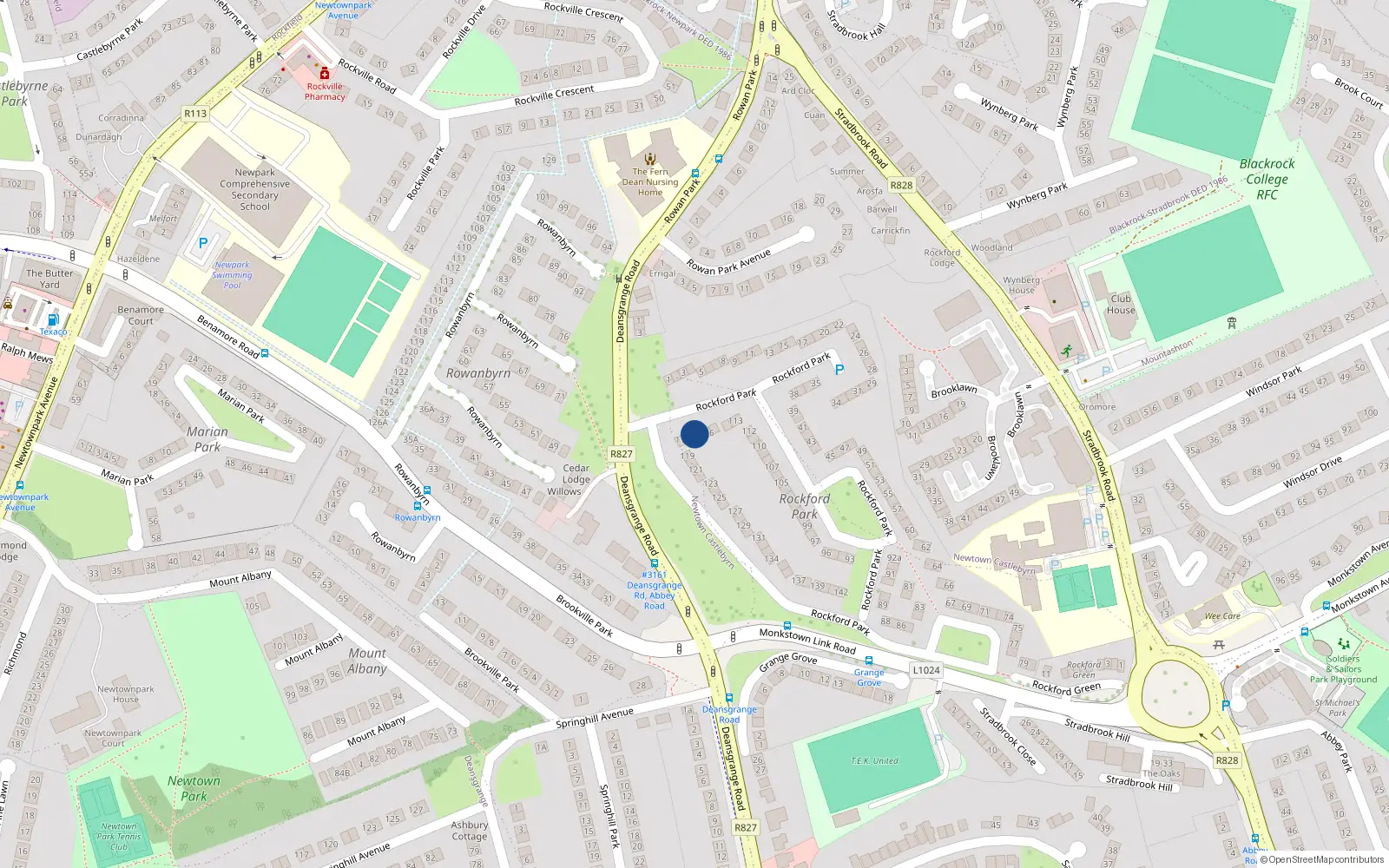 Overhead map showing the location of 117 Rockford Park, Blackrock