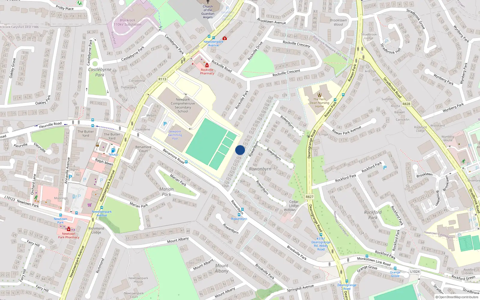 Overhead map showing the location of 117 Rowanbyrn, Blackrock, Co Dublin