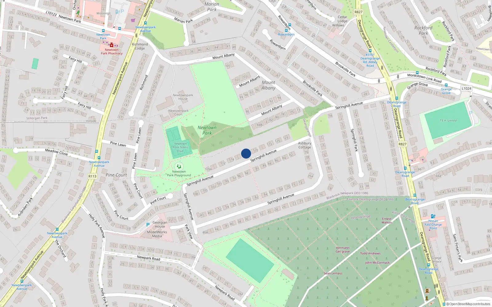 Overhead map showing the location of 117 Springhill Avenue, Blackrock