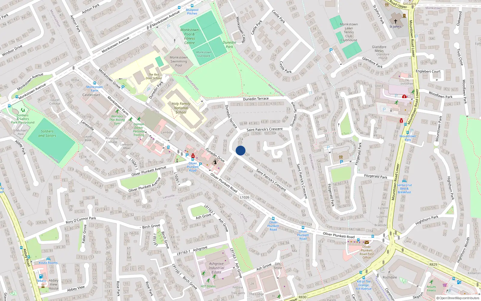 Overhead map showing the location of 117 St Patricks Crescent, Monkstown Farm, Dun Laoghaire