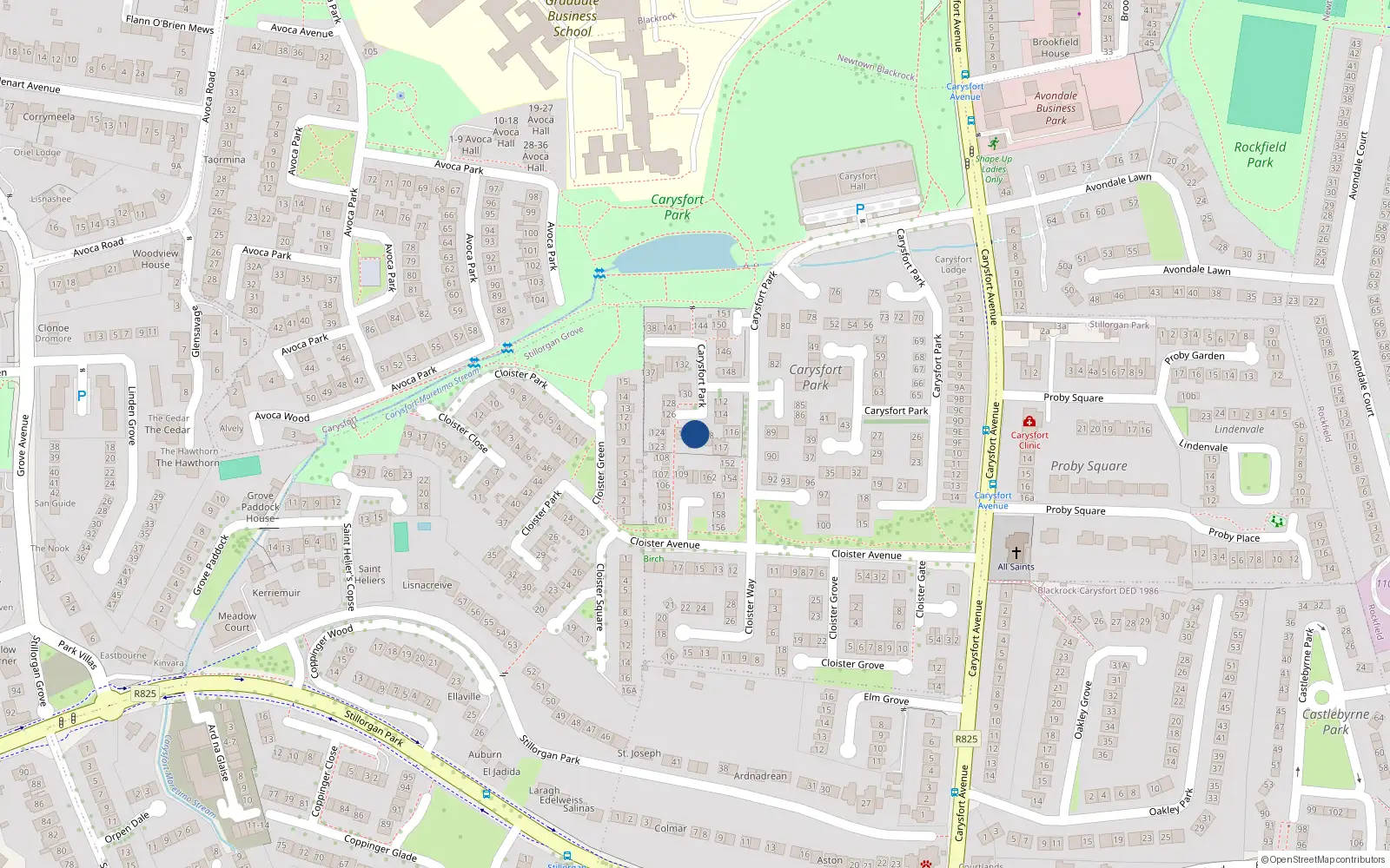 Overhead map showing the location of 119 Carysfort Park, Blackrock