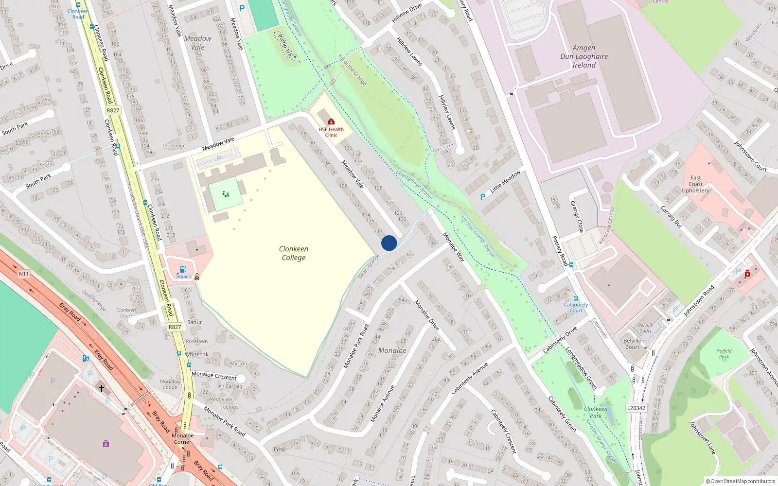 Overhead map showing the location of 119 Meadow Vale, Blackrock