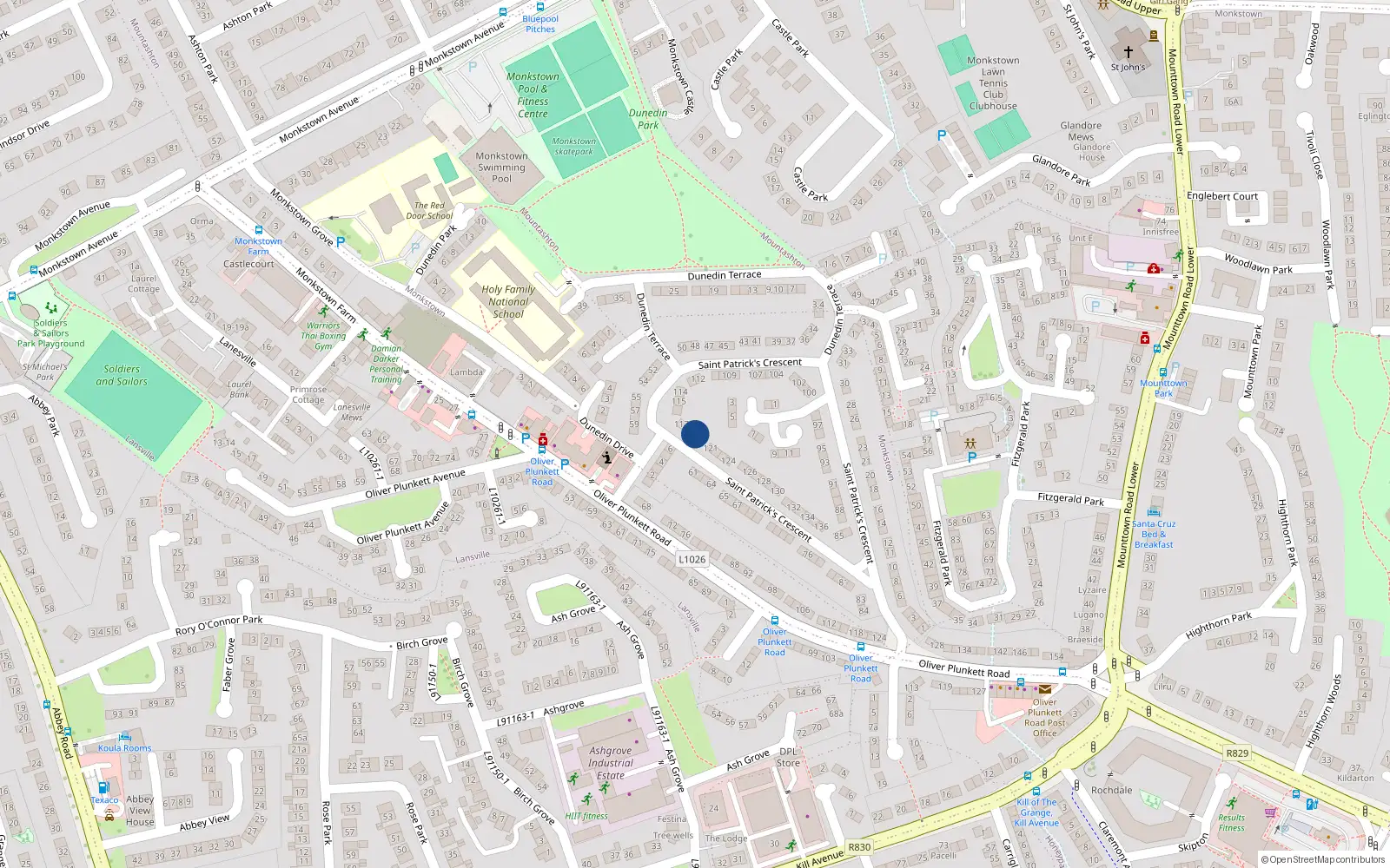 Overhead map showing the location of 119 St Patricks Crescent, Dun Laoghaire, Dublin