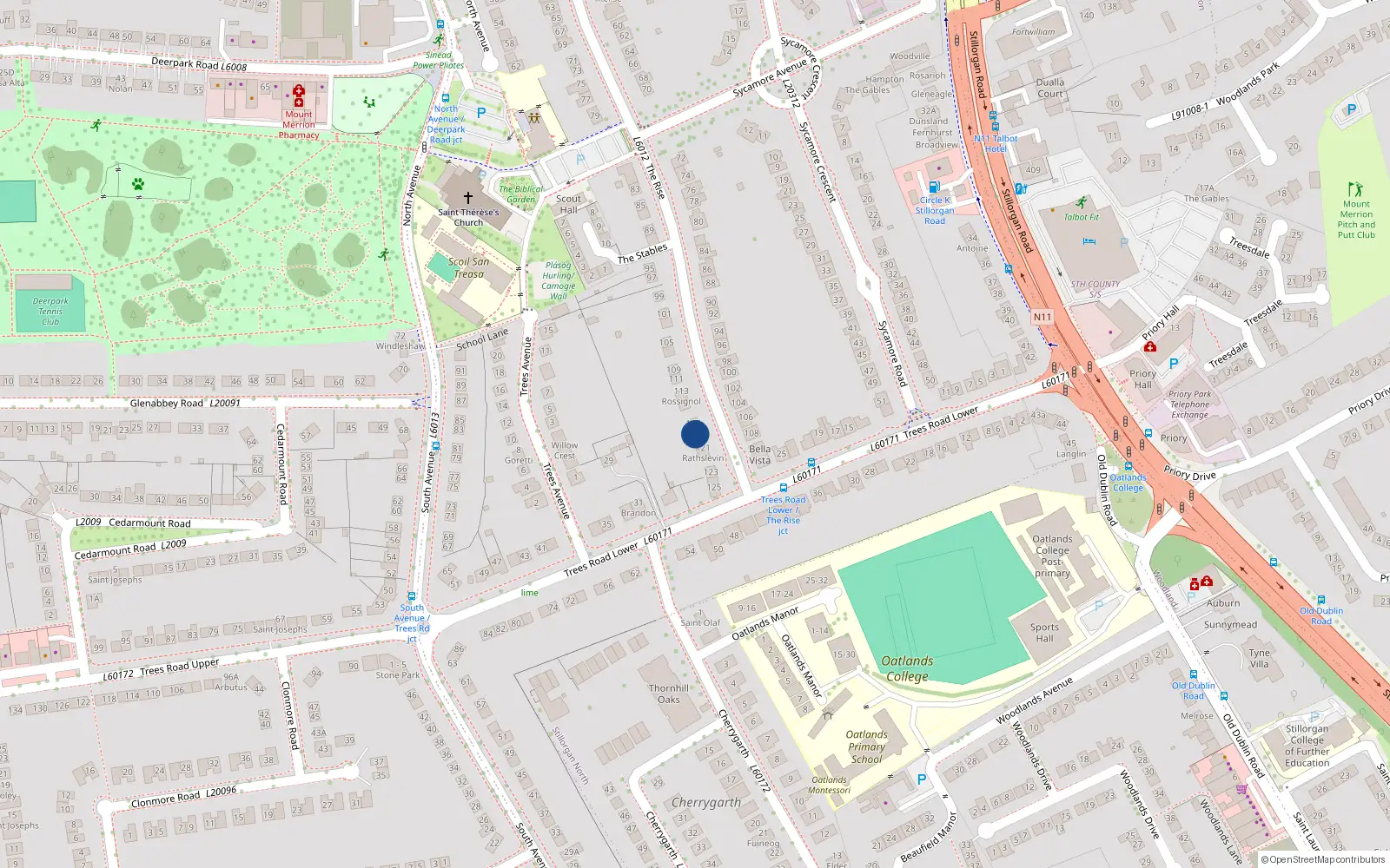 Overhead map showing the location of 119 The Rise, Blackrock