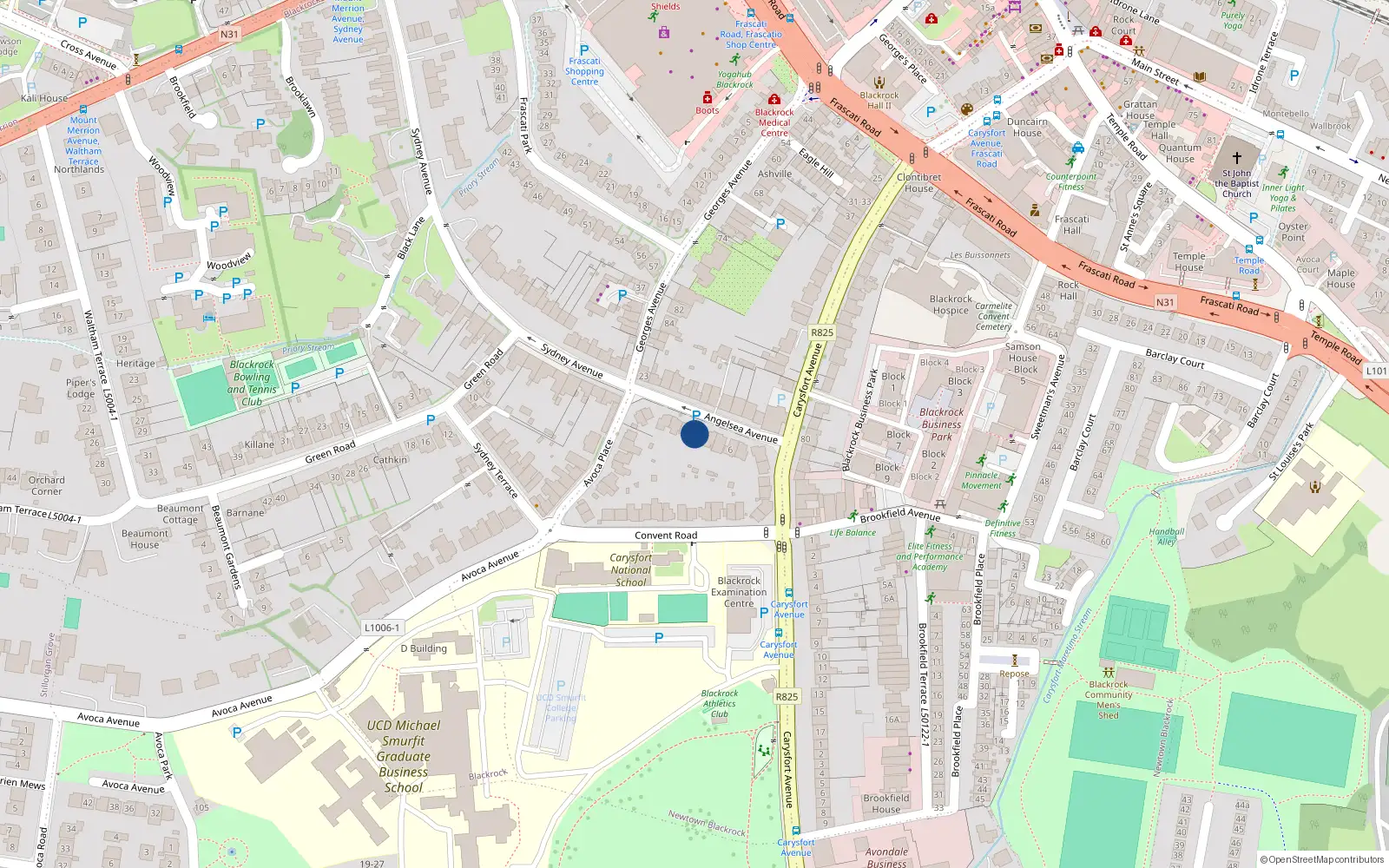 Overhead map showing the location of 12 Anglesea Avenue, Blackrock