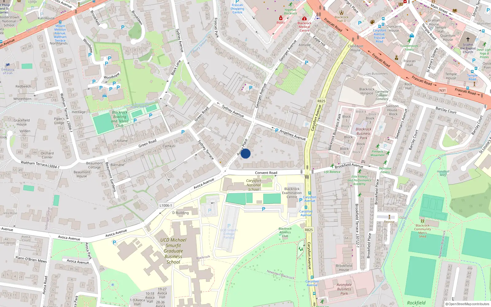 Overhead map showing the location of 12 Avoca Place, Blackrock, Dublin