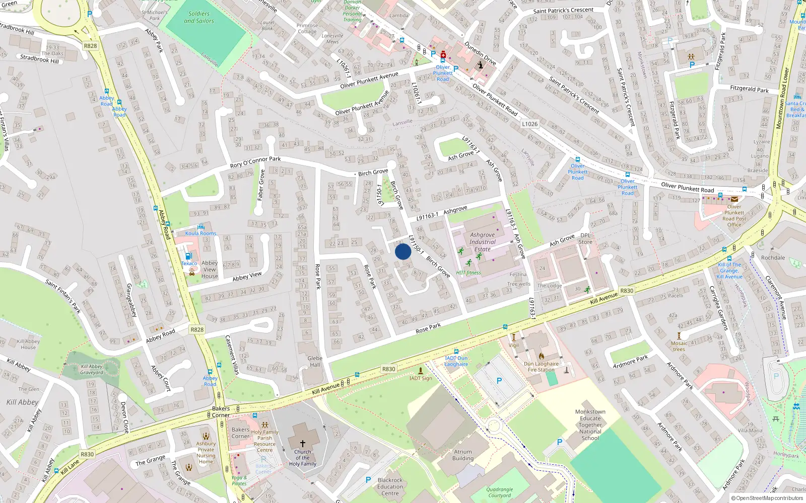 Overhead map showing the location of 12 Birch Grove, Dun Laoghaire