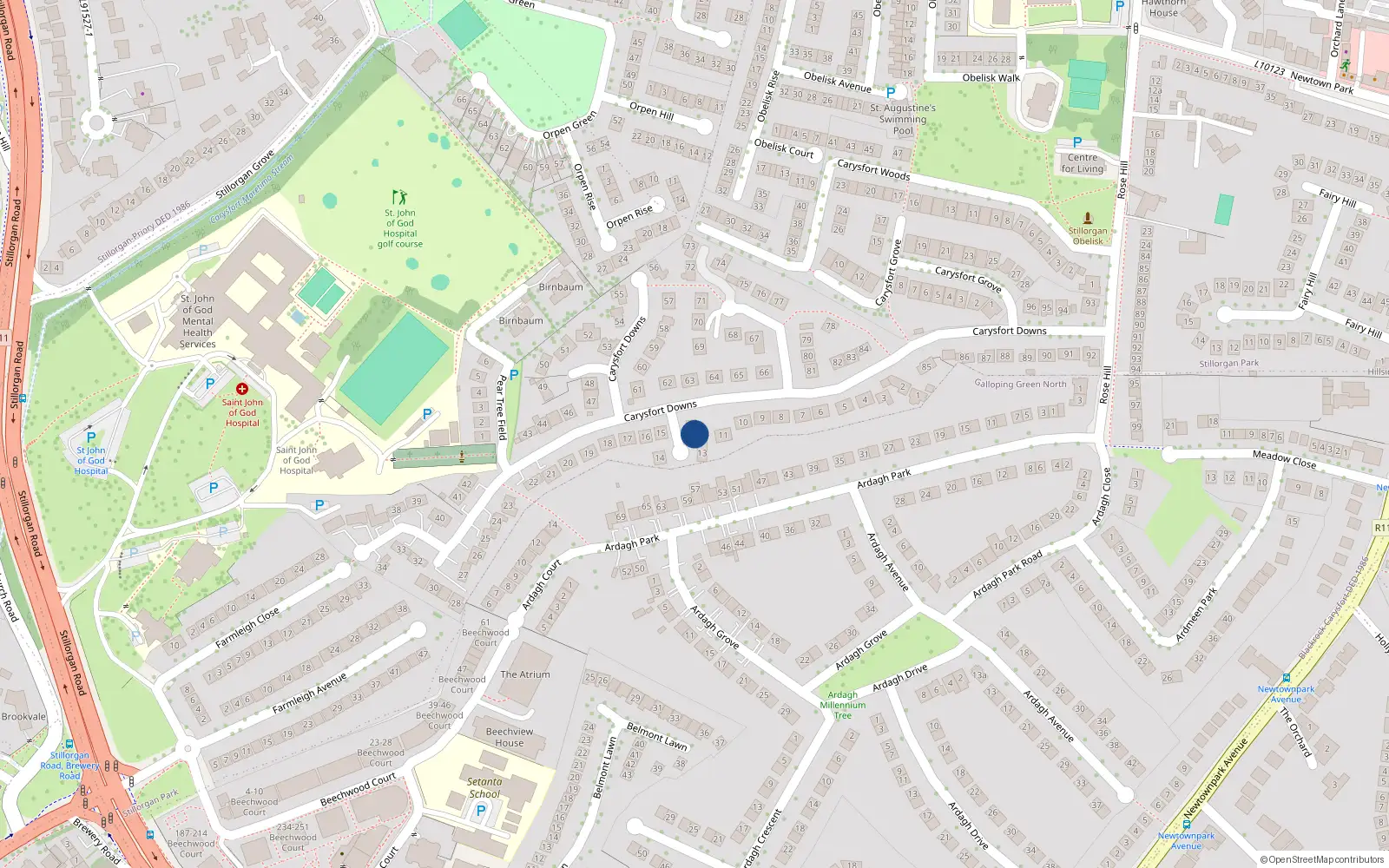 Overhead map showing the location of 12 Carysfort Downs, Blackrock