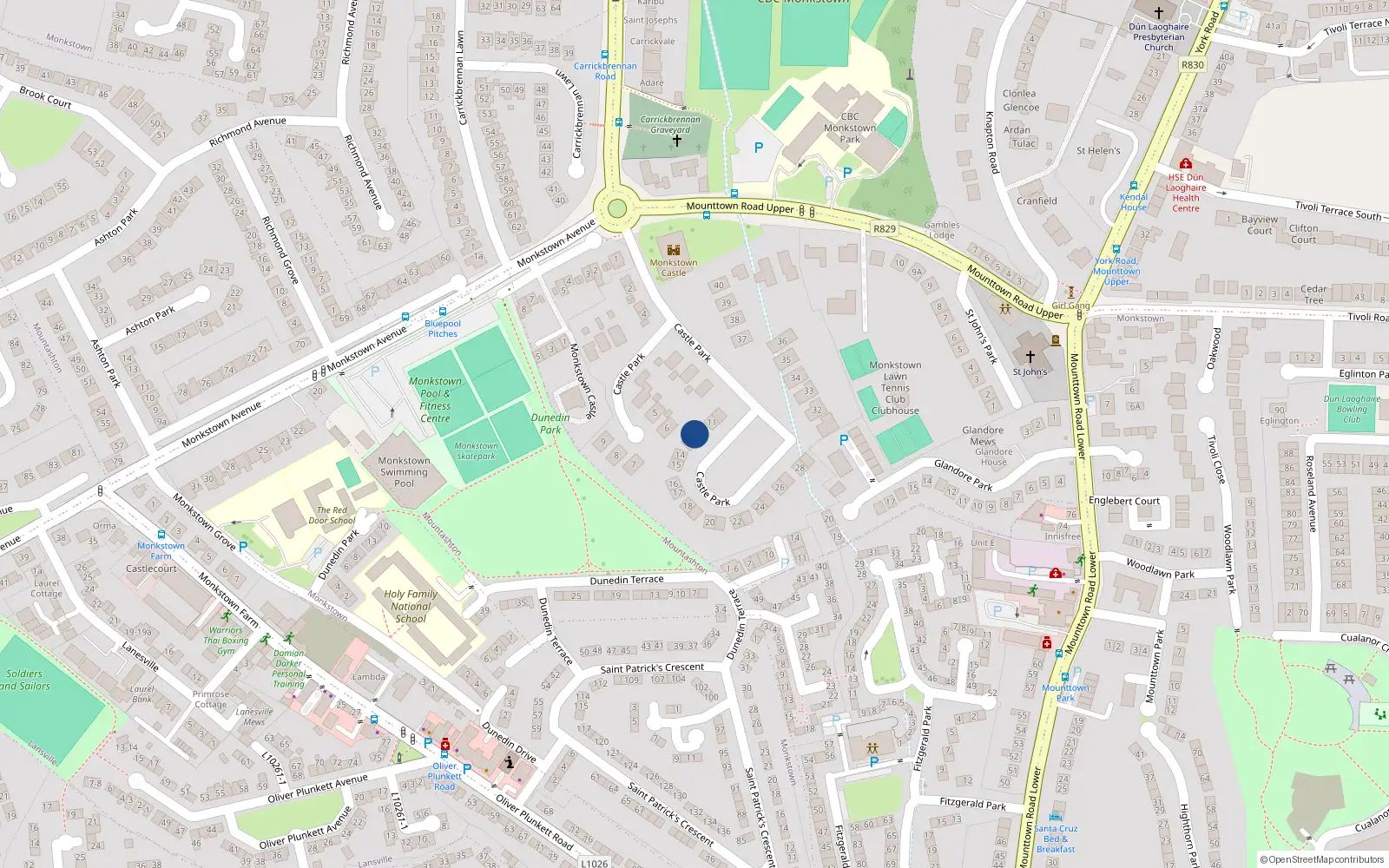 Overhead map showing the location of 12 Castle Park, Monkstown