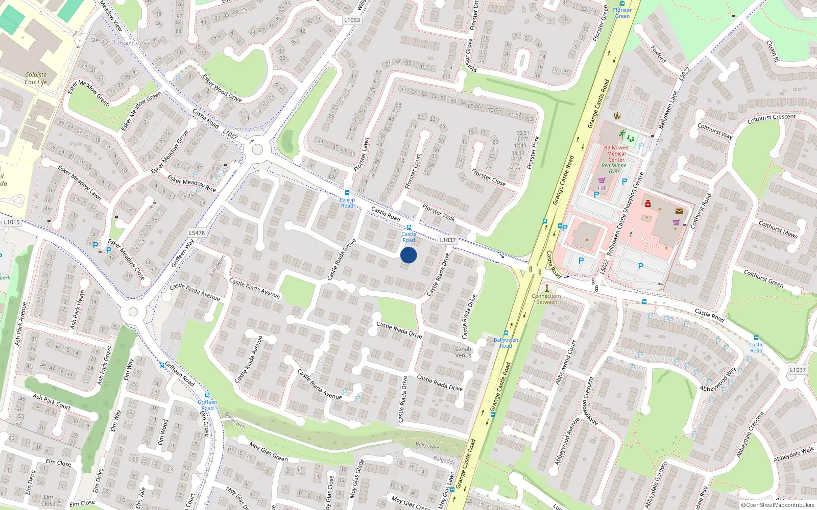 Overhead map showing the location of 12 Castle Riada Grove, Lucan