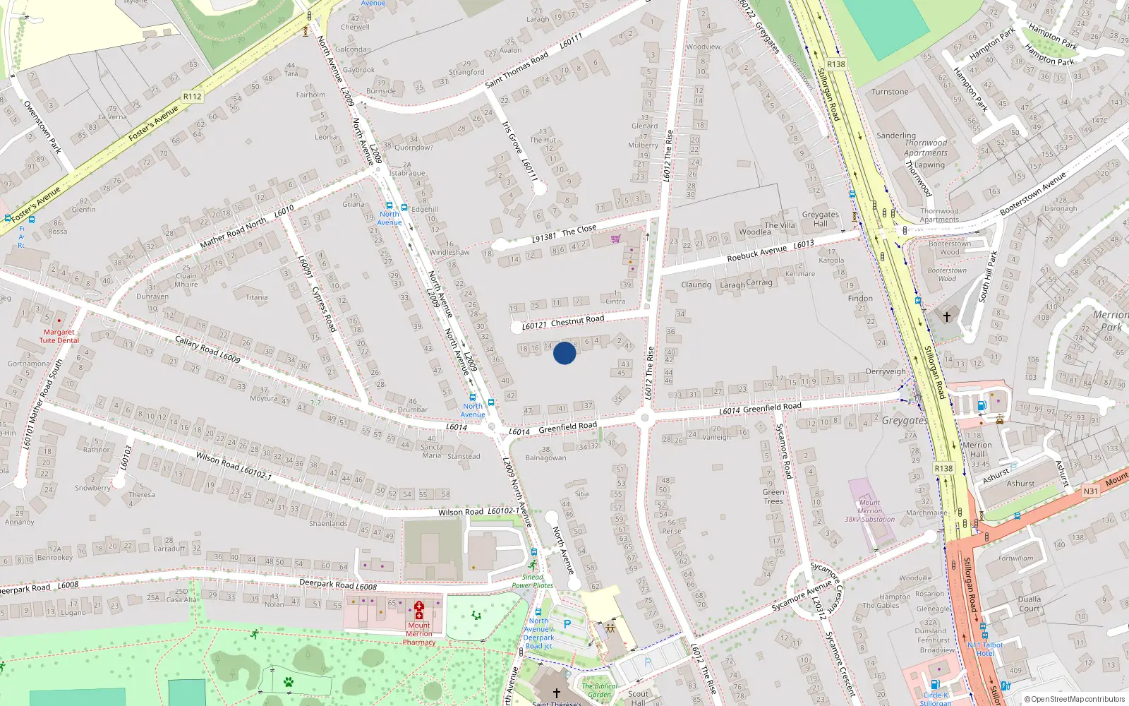 Overhead map showing the location of 12 Chestnut Road, Blackrock