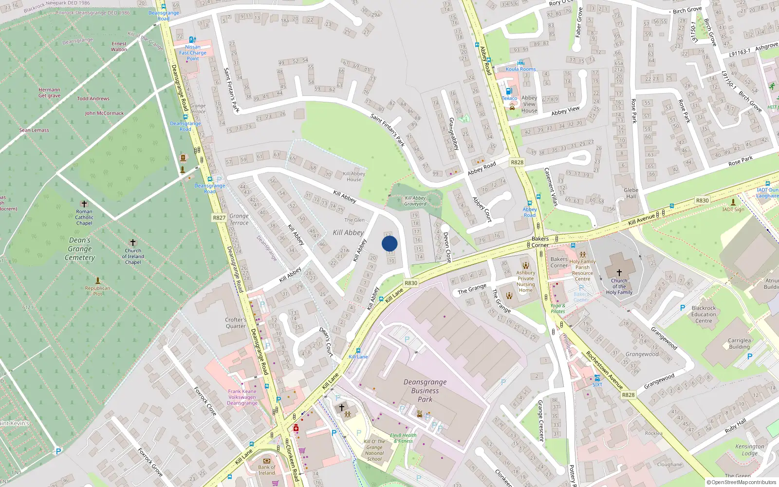 Overhead map showing the location of 12 Kill Abbey, Blackrock