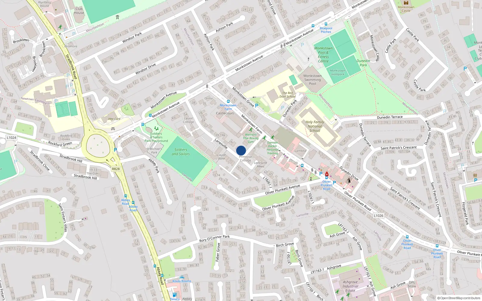 Overhead map showing the location of 12 Lanesville, Monkstown Farm, Monkstown