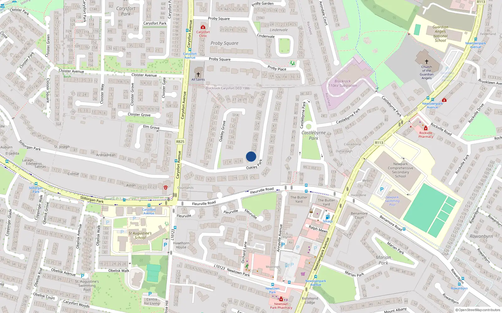 Overhead map showing the location of 12 Oakley Park, Blackrock