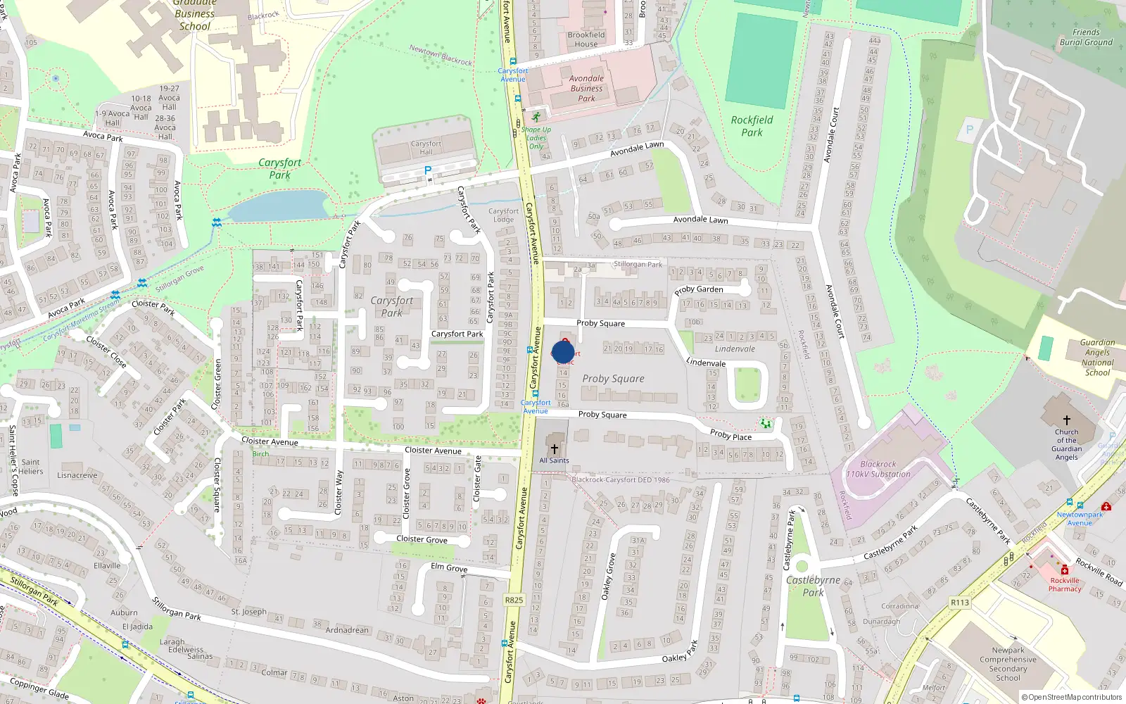 Overhead map showing the location of 12 Proby Square, Blackrock