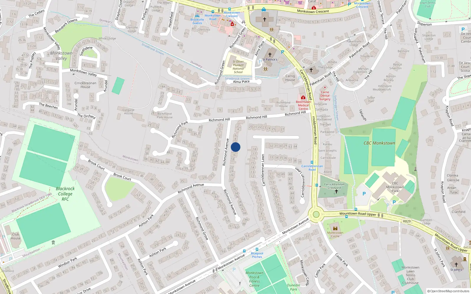 Overhead map showing the location of 12 Richmond Avenue, Monkstown