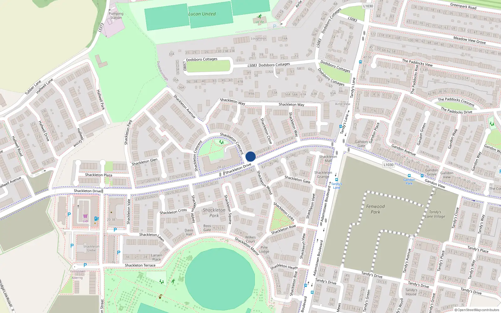 Overhead map showing the location of 12 Shackelton Drive, Shackelton Park, Lucan