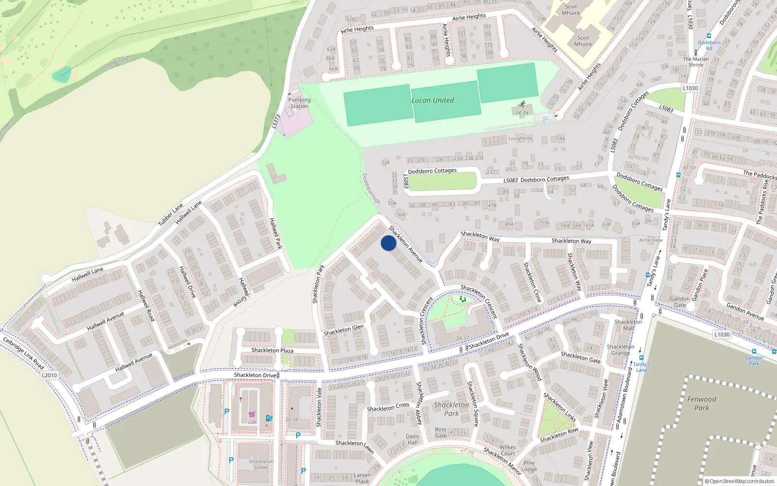 Overhead map showing the location of 12 Shackleton Avenue, Shackleton Park, Lucan