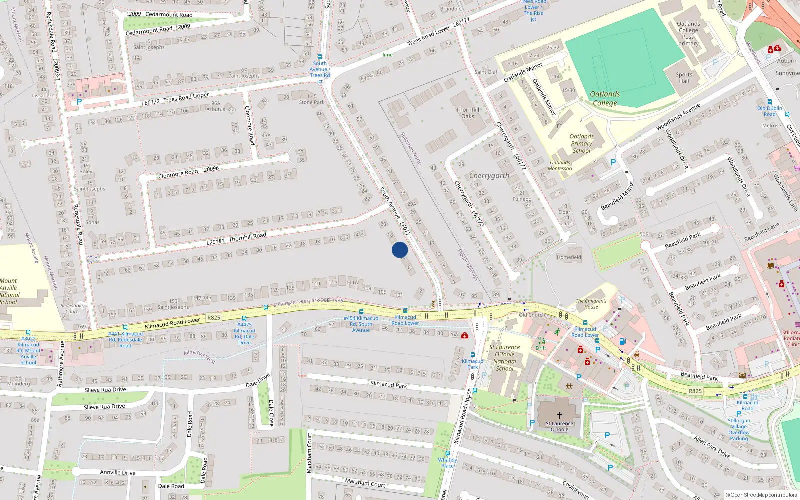 Overhead map showing the location of 12 South Avenue, Blackrock