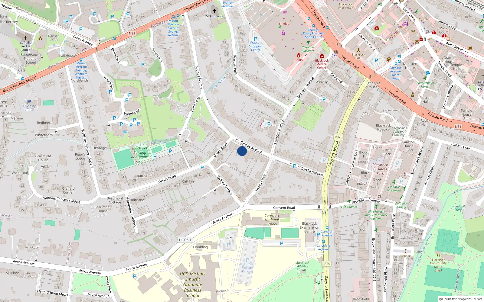 Overhead map showing the location of 12 Sydney Avenue, Blackrock