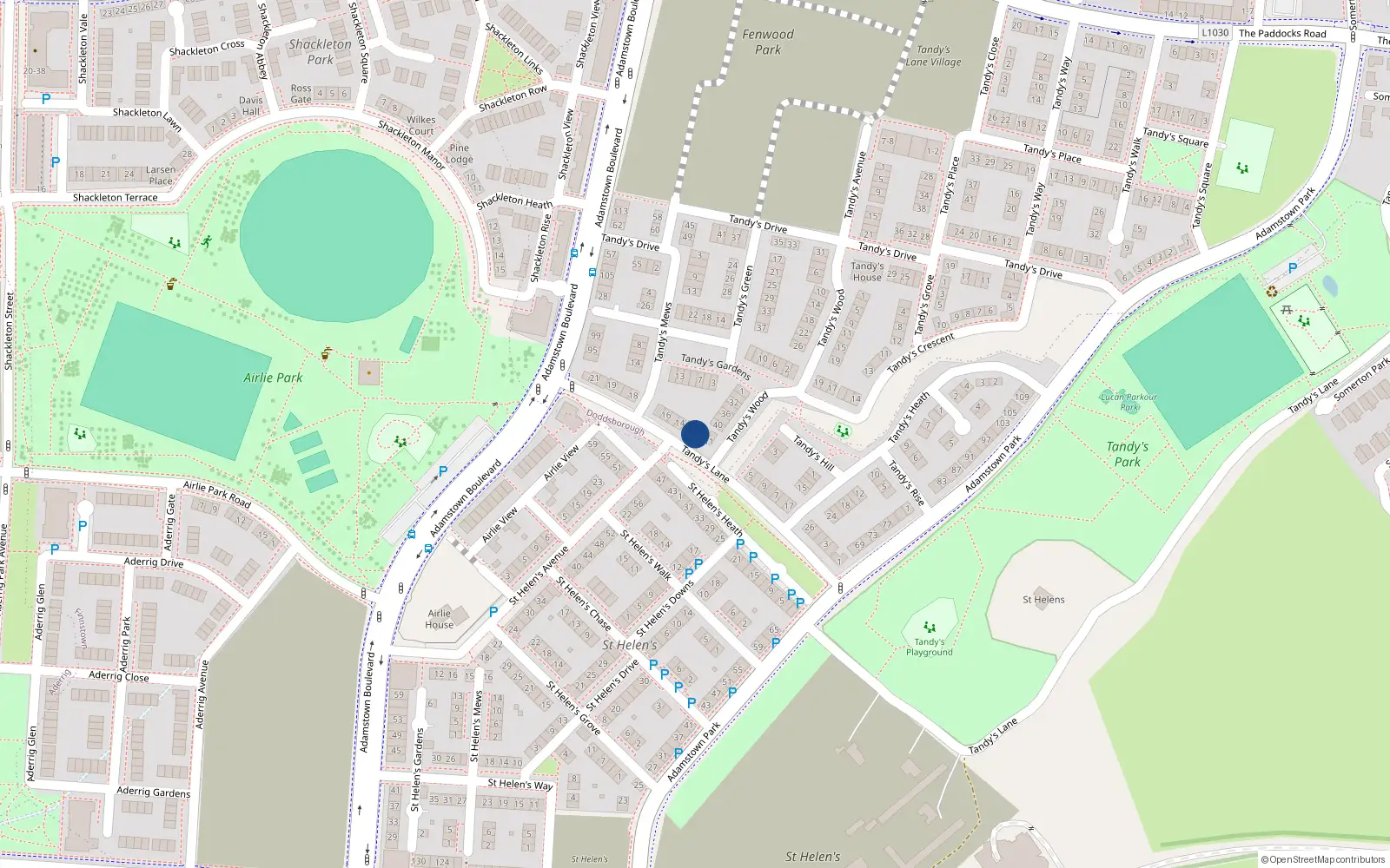 Overhead map showing the location of 12 Tandy's Lane, Adamstown, Lucan