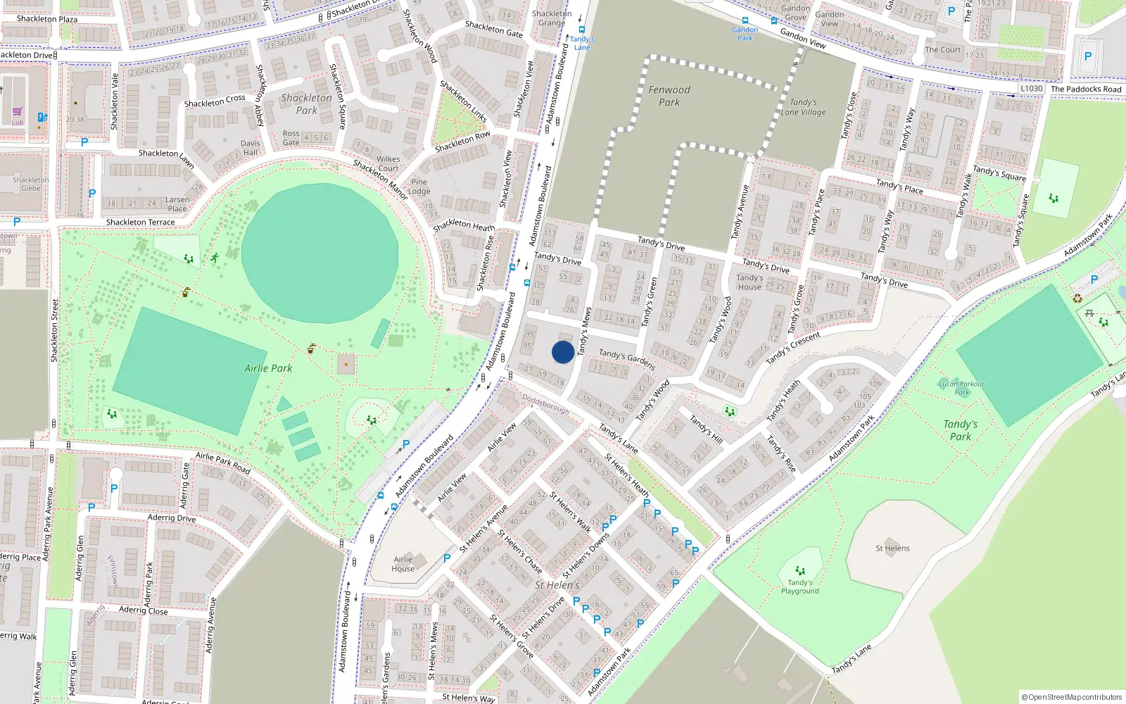 Overhead map showing the location of 12 Tandy's Mews, Adamstown, Lucan