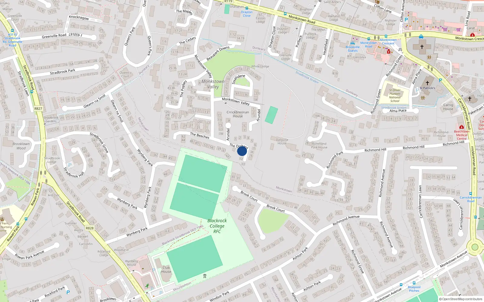 Overhead map showing the location of 12 the Orchard, Monkstown Valley, Monkstown