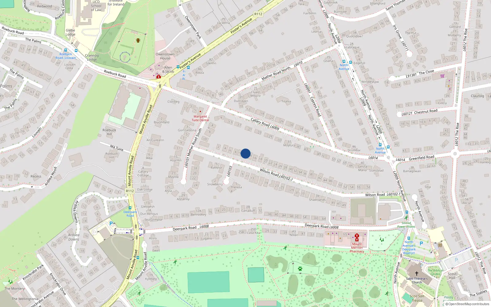 Overhead map showing the location of 12 Wilson Road, Blackrock