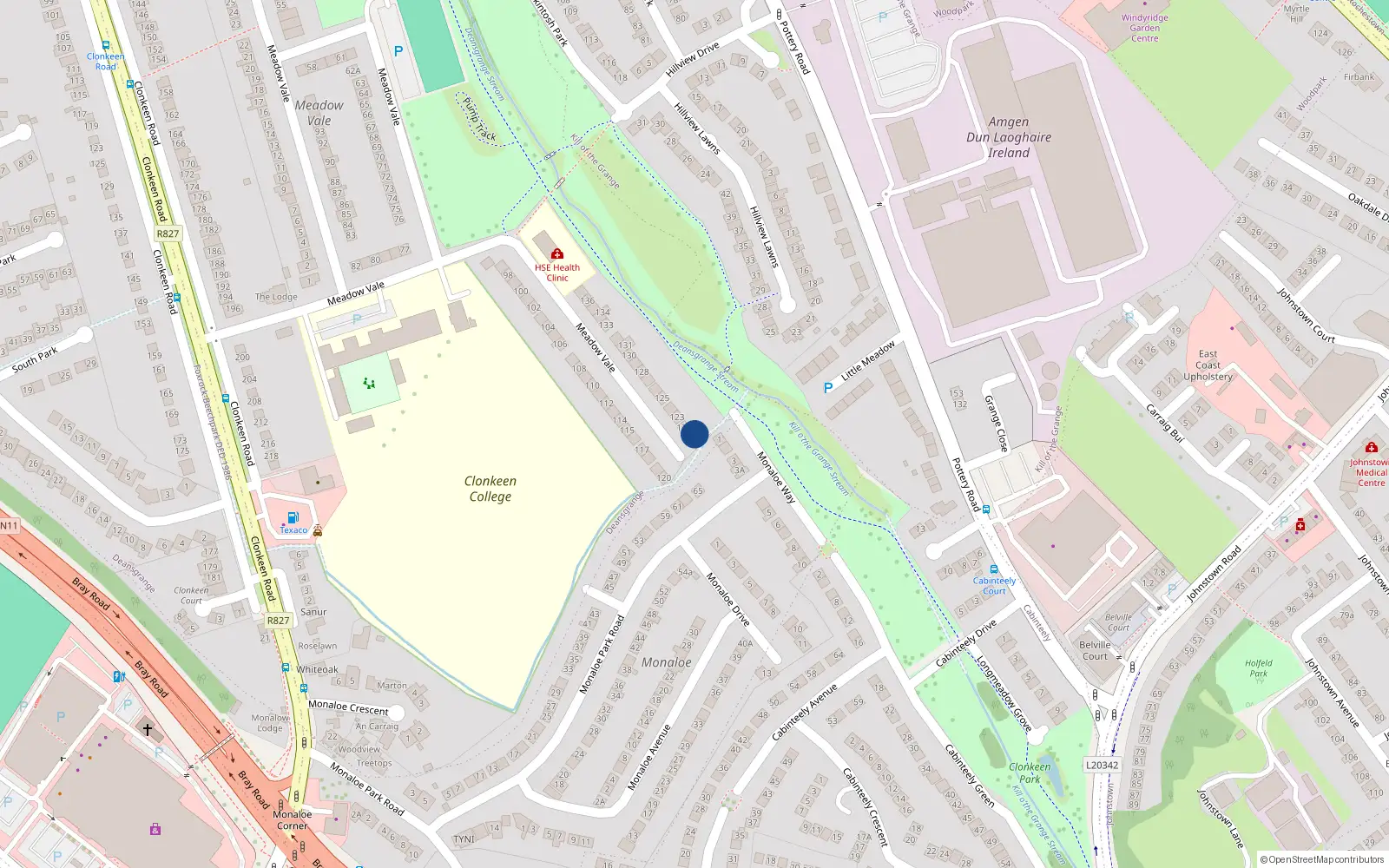 Overhead map showing the location of 121 Meadow Vale, Blackrock