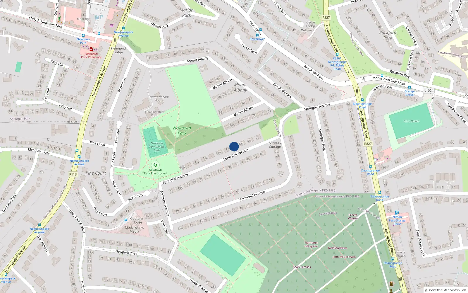 Overhead map showing the location of 121 Springhill Avenue, Blackrock