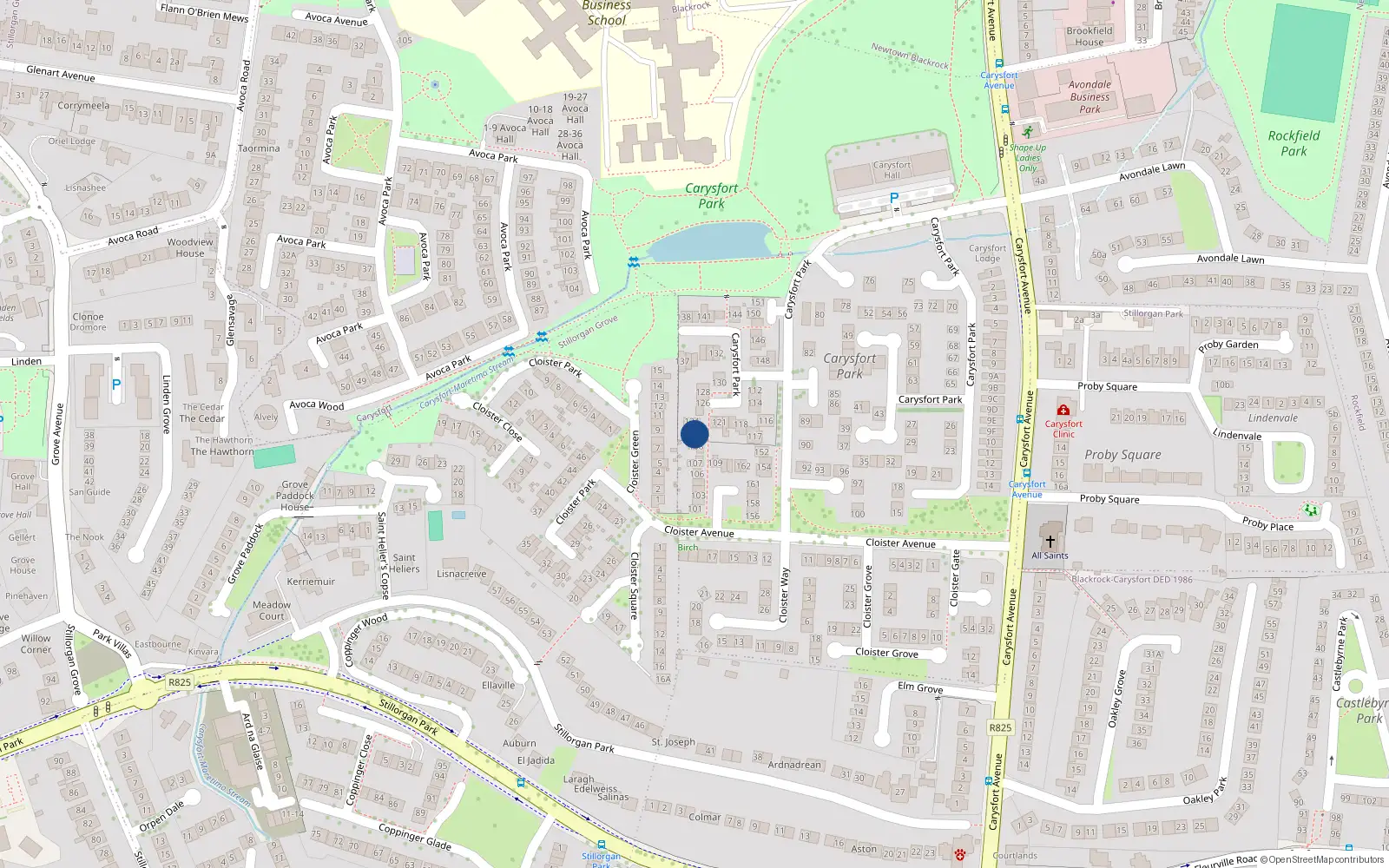Overhead map showing the location of 123 Carysfort Park, Blackrock