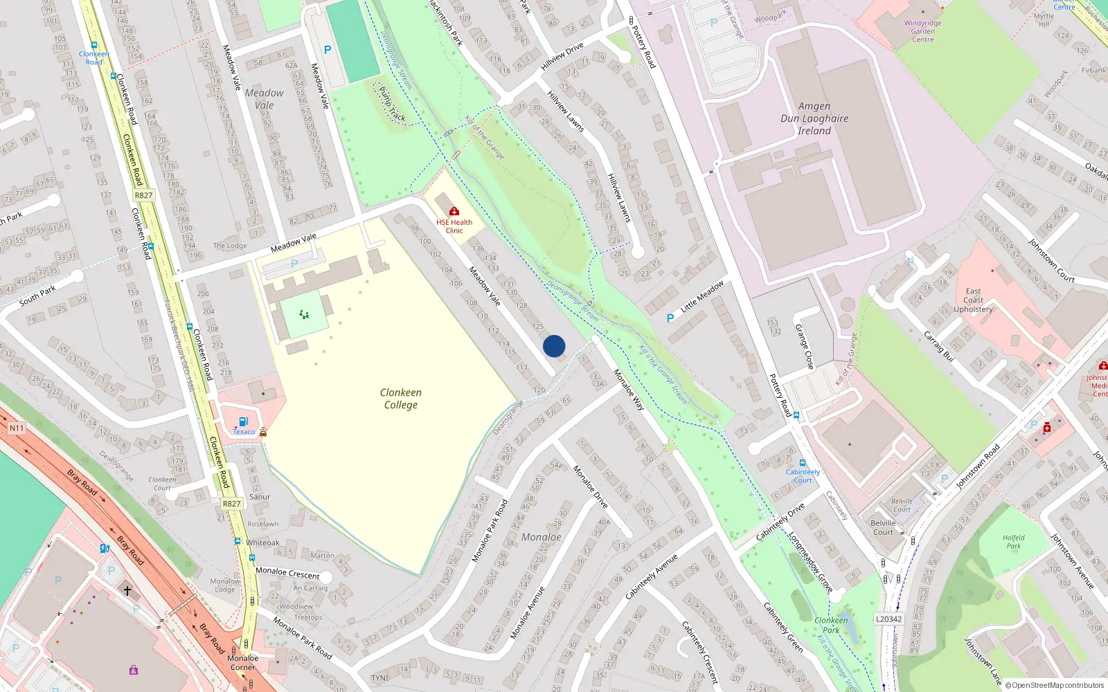 Overhead map showing the location of 123 Meadow Vale, Blackrock