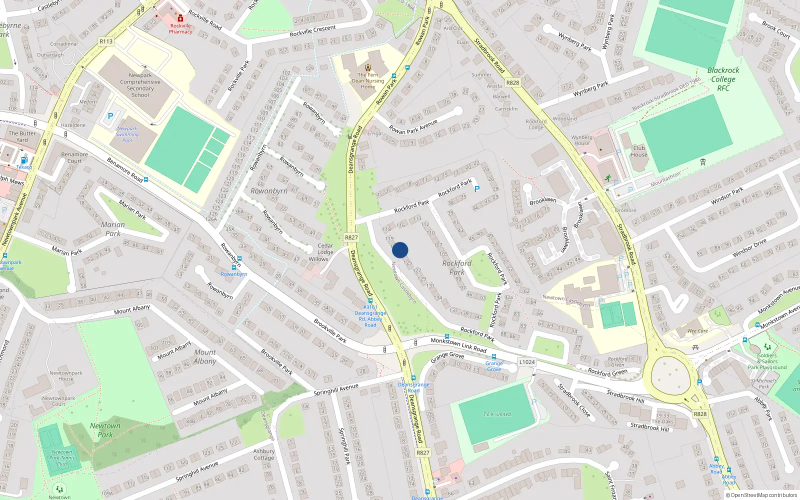 Overhead map showing the location of 123 Rockford Park, Blackrock