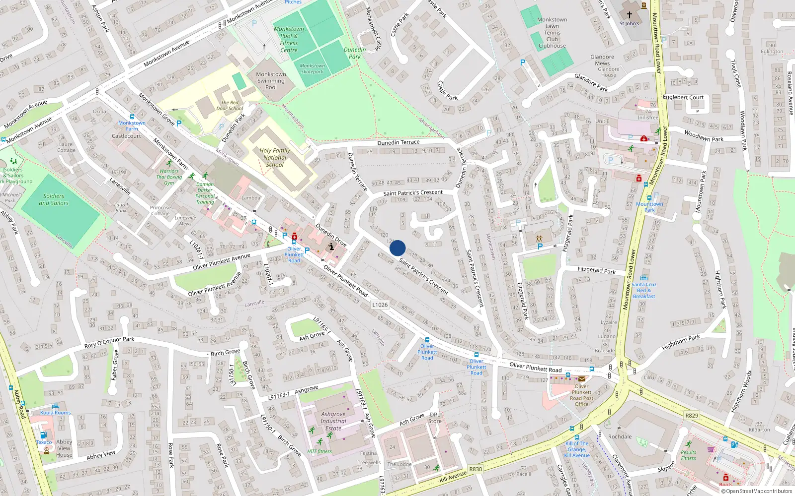 Overhead map showing the location of 123 St Patricks Cresent, Monkstown Farm, Dun Laoghaire