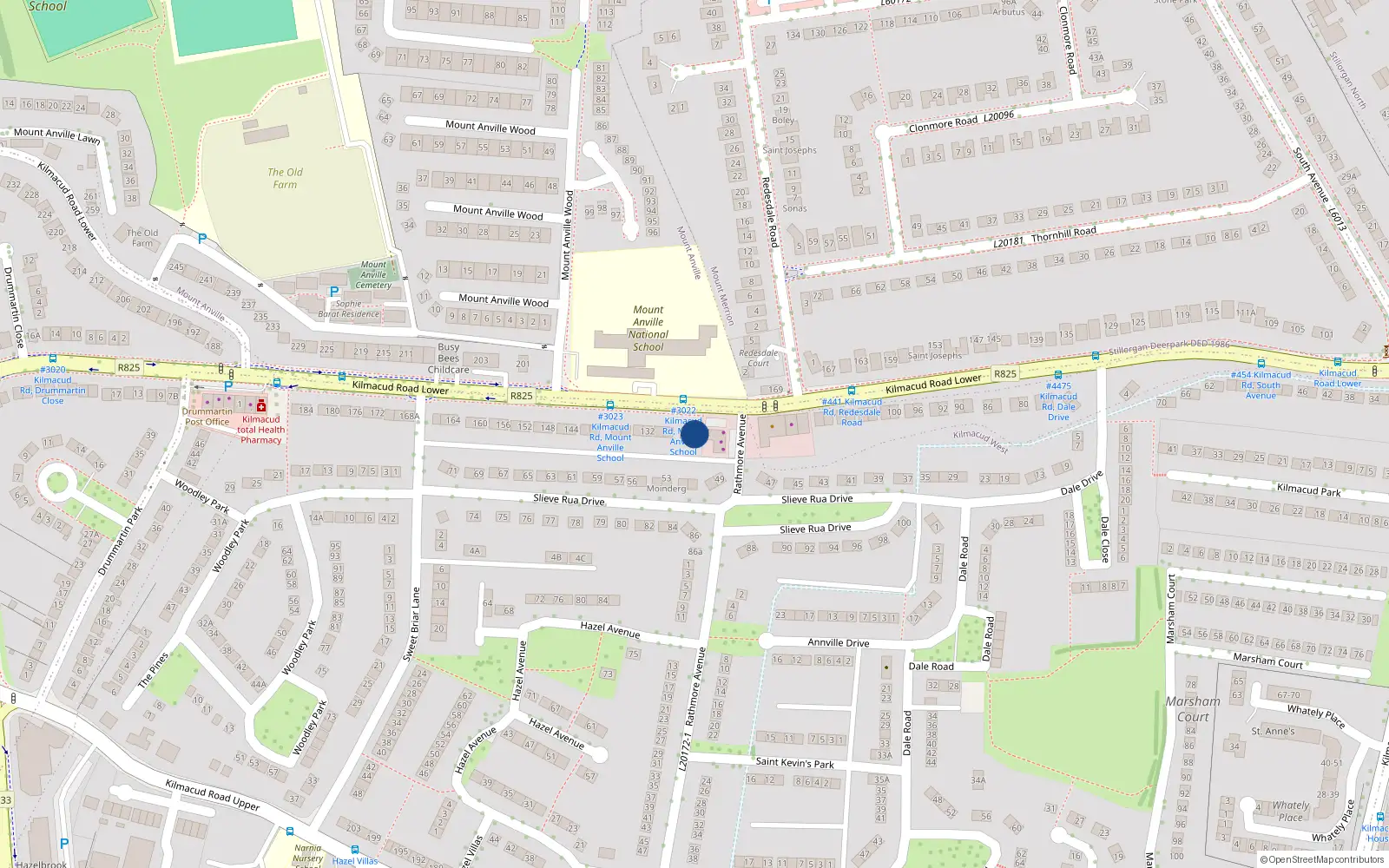 Overhead map showing the location of 124 Lower Kilmacud Road, Dublin