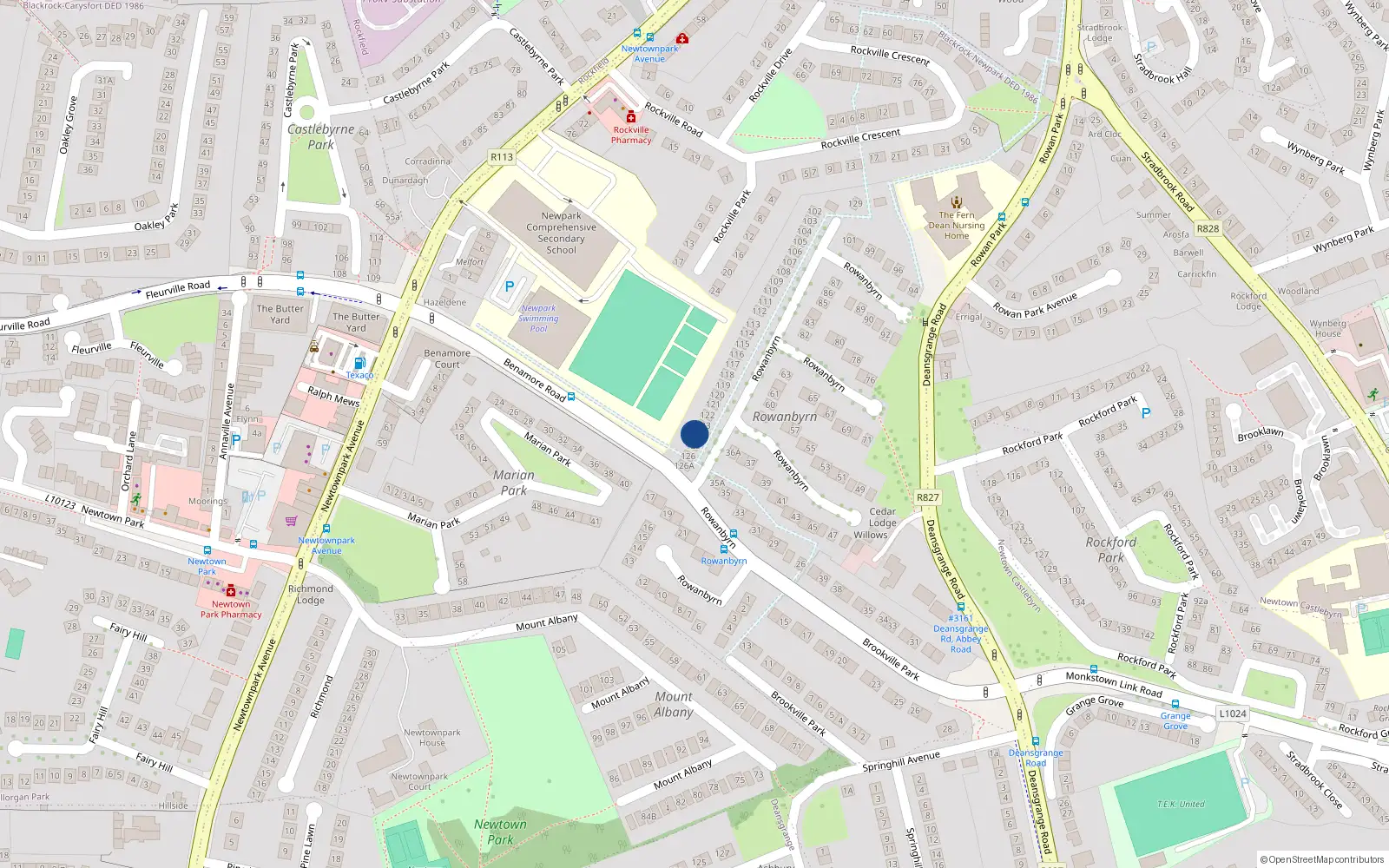 Overhead map showing the location of 124 Rowanbyrn, Blackrock, Dublin