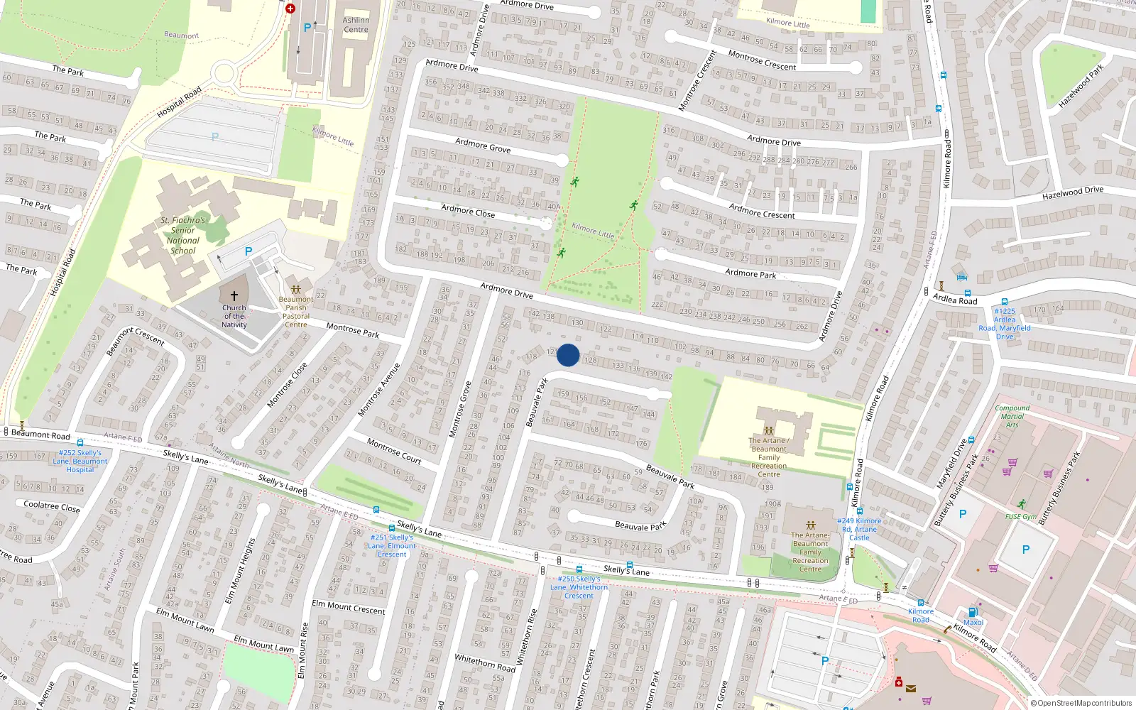 Overhead map showing the location of 125 Beauvale Park, Dublin 5