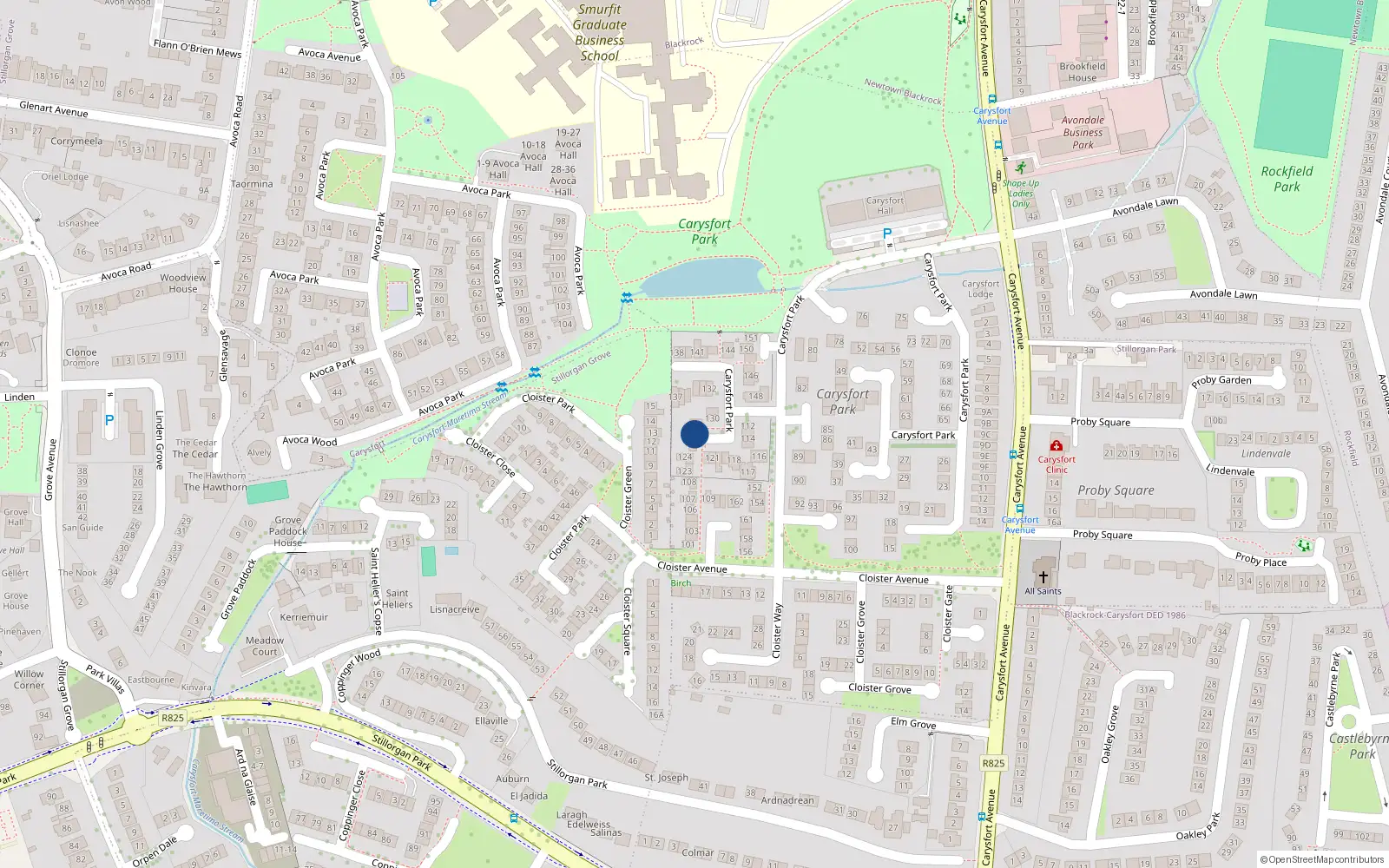 Overhead map showing the location of 125 Carysfort Park, Blackrock