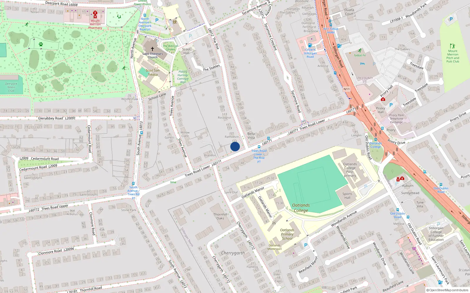 Overhead map showing the location of 125 The Rise, Blackrock