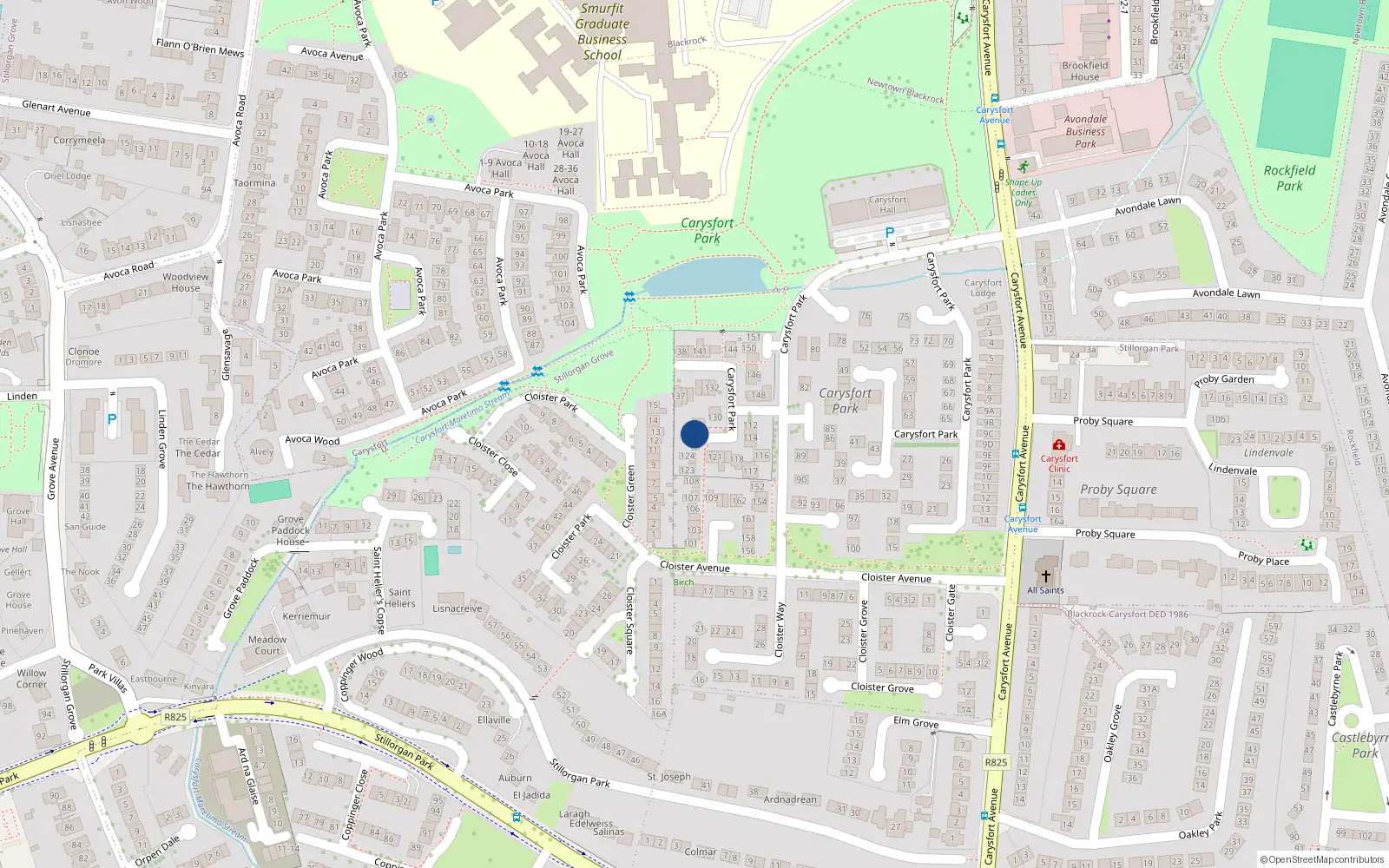 Overhead map showing the location of 127 Carysfort Park, Blackrock, Dublin