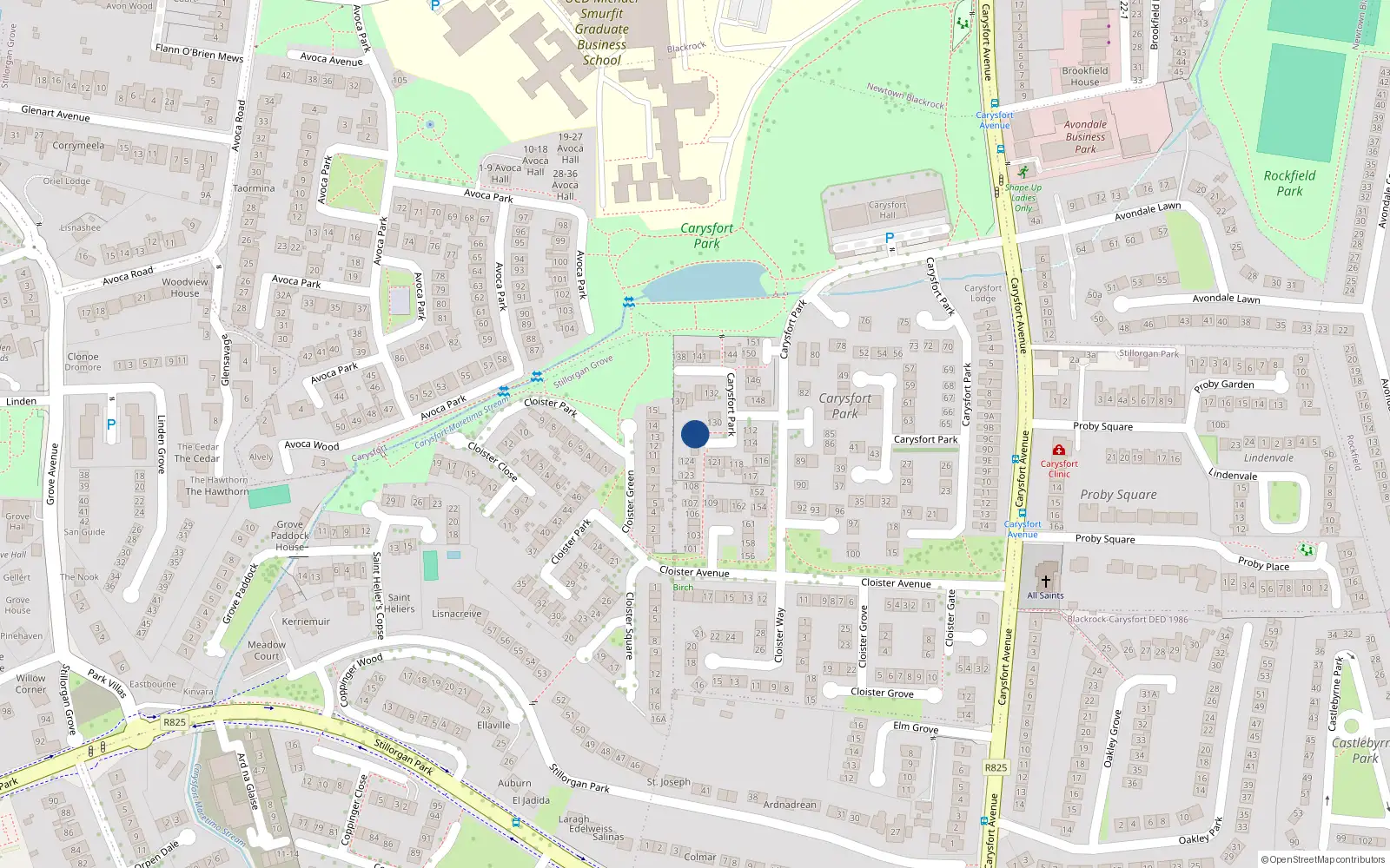 Overhead map showing the location of 128 Carysfort Park, Blackrock