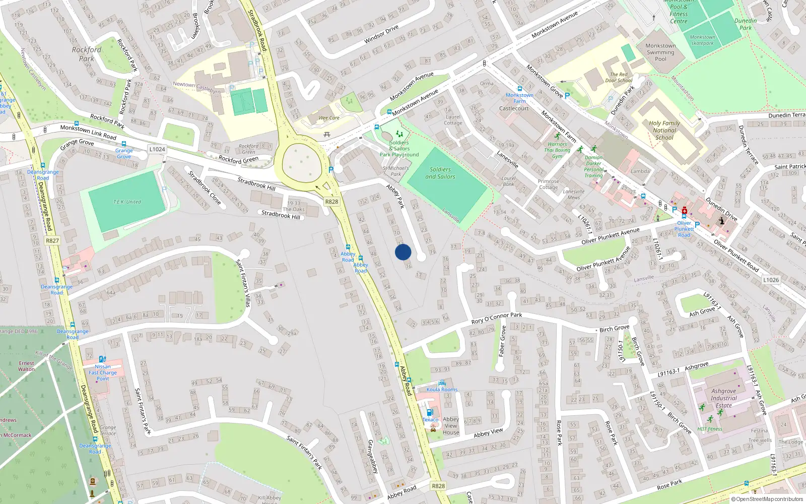 Overhead map showing the location of 13 Abbey Park, Monkstown